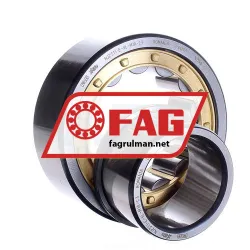 FAG NJ2311-E-XL-M1A-C3 rulman resim 2