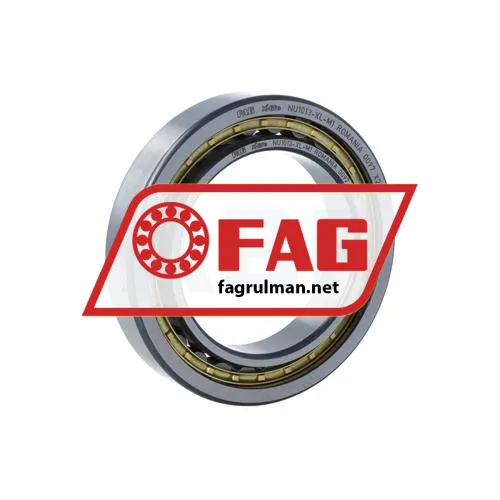 FAG NU1013-XL-M1