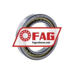 FAG NU1013-XL-M1