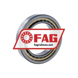 FAG NU1013-XL-M1 rulman resim 2