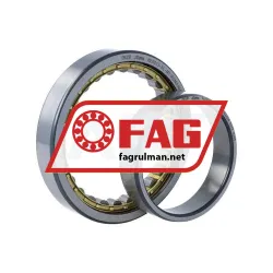 FAG NU1013-XL-M1 rulman resim 3