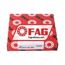 FAG NU1013-XL-M1 rulman resim 4