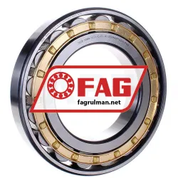 FAG N226-E-XL-M1