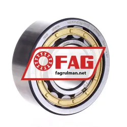 FAG NJ2309-E-XL-M1-C3