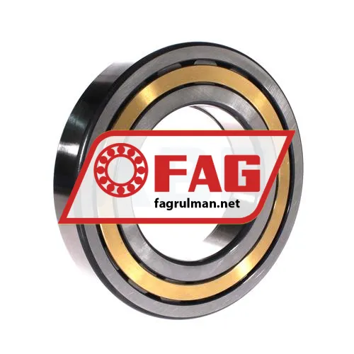 FAG NUP220-E-XL-M1-C3 ürün fotoğrafı 2
