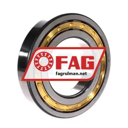FAG NUP220-E-XL-M1-C3