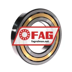 FAG NUP220-E-XL-M1-C3 rulman resim 2