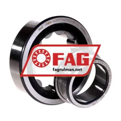 FAG NJ309-E-TVP2-QP51-C4 rulman resim 2