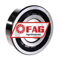 FAG NJ309-E-TVP2-QP51-C4 rulman resim 3