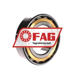 FAG N2218-E-XL-MPB-C3 rulman resim 2