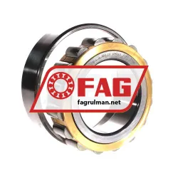 FAG N2218-E-XL-MPB-C3 rulman resim 3