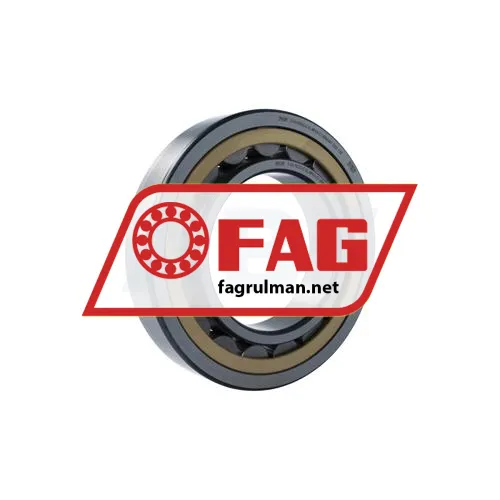 FAG NU224-E-XL-MPAX-C3