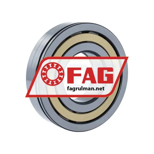 FAG NUP311-E-XL-N-M1-C3 ürün fotoğrafı 2