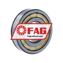FAG NUP311-E-XL-N-M1-C3