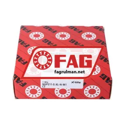 FAG NUP311-E-XL-N-M1-C3 rulman resim 4