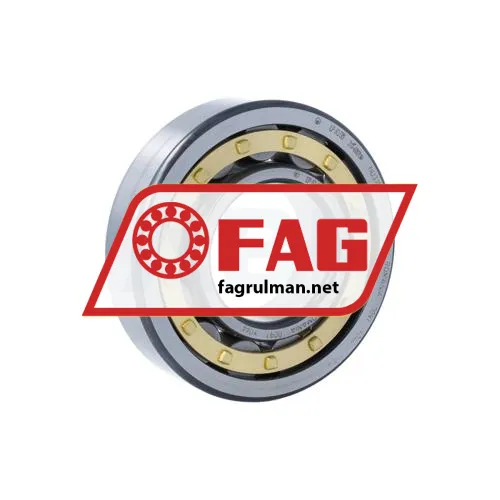 FAG NU310-E-XL-M1-F1-C4