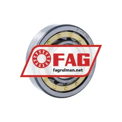 FAG NU310-E-XL-M1-F1-C4