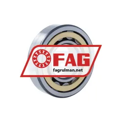 FAG NU310-E-XL-M1-F1-C4 rulman resim 2