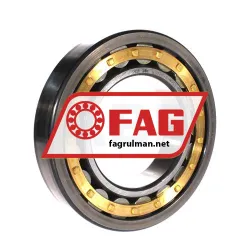 FAG NJ221-E-XL-M1-C3