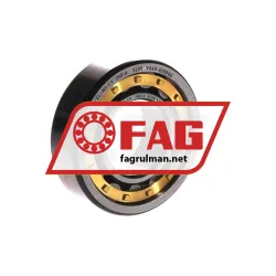 FAG NU205-E-XL-M1-C3