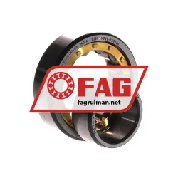 FAG NU205-E-XL-M1-C3 rulman resim 2