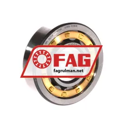 FAG NU305-E-XL-M1