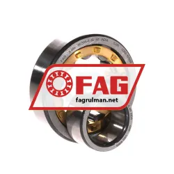 FAG NU305-E-XL-M1 rulman resim 3
