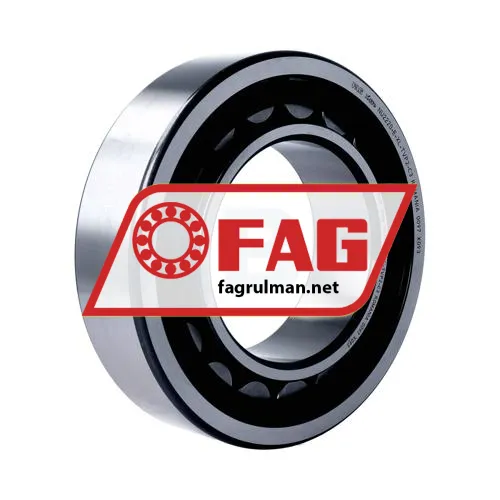 FAG NU2220-E-XL-TVP2-C3
