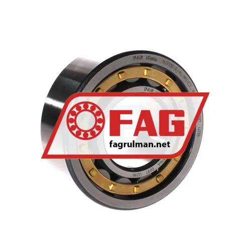 FAG NJ2310-E-XL-M1-C3