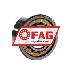 FAG NJ2310-E-XL-M1-C3