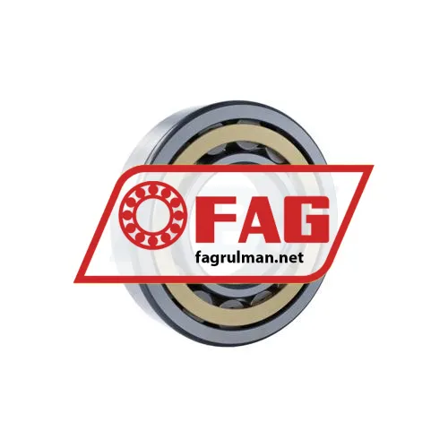 FAG NU319-E-XL-M1-F1-C4 ürün fotoğrafı 2