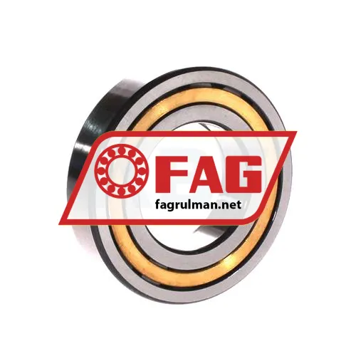 FAG NUP209-E-XL-M1-C3 ürün fotoğrafı 2