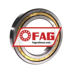 FAG NUP1022-XL-M1