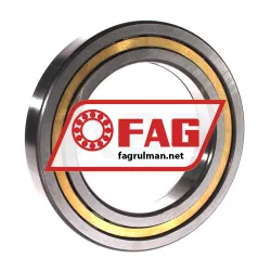 FAG NUP1022-XL-M1 rulman resim 2