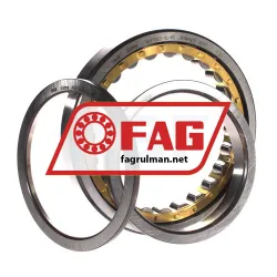 FAG NUP1022-XL-M1 rulman resim 3