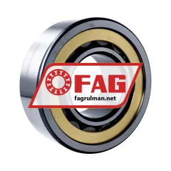FAG NUP317-E-XL-M1-C3 rulman resim 2