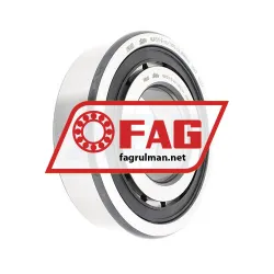 FAG NUP311-E-XL-TVP2-C4