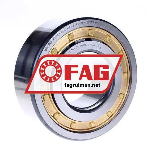 FAG NUP2313-E-XL-M1A-C3