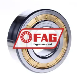 FAG NUP2313-E-XL-M1A-C3