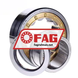 FAG NUP2313-E-XL-M1A-C3 rulman resim 2