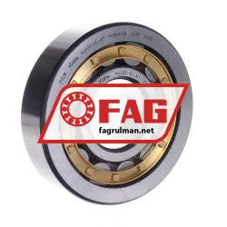 FAG NU409-XL-M1