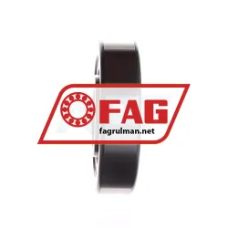 FAG NU409-XL-M1 rulman resim 4