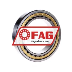 FAG NU2030-E-XL-M1-C3