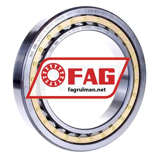 FAG NU1024-XL-M1-C4