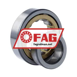 FAG NJ308-E-XL-M1-F1-C3 rulman resim 3