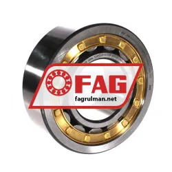 FAG NJ2320-E-XL-TVP2-QP51-C5