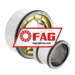 FAG NJ2204-E-XL-M1A-C4 rulman resim 2