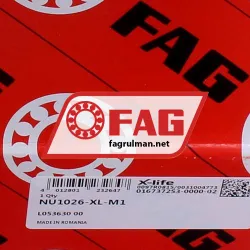 FAG NU1026-XL-M1 rulman resim 6