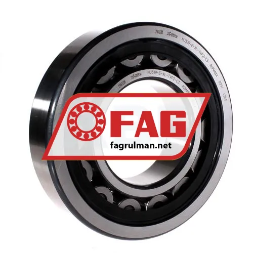 FAG NU319-E-XL-TVP2