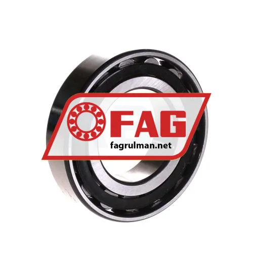 FAG N209-E-XL-TVP2 ürün fotoğrafı 2
